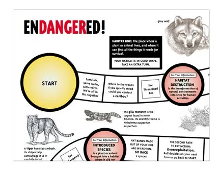 Understand the Impact of Extinction