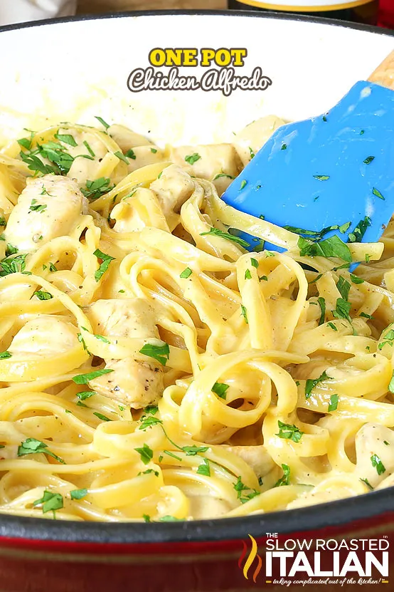 One Pot Chicken Alfredo Recipe