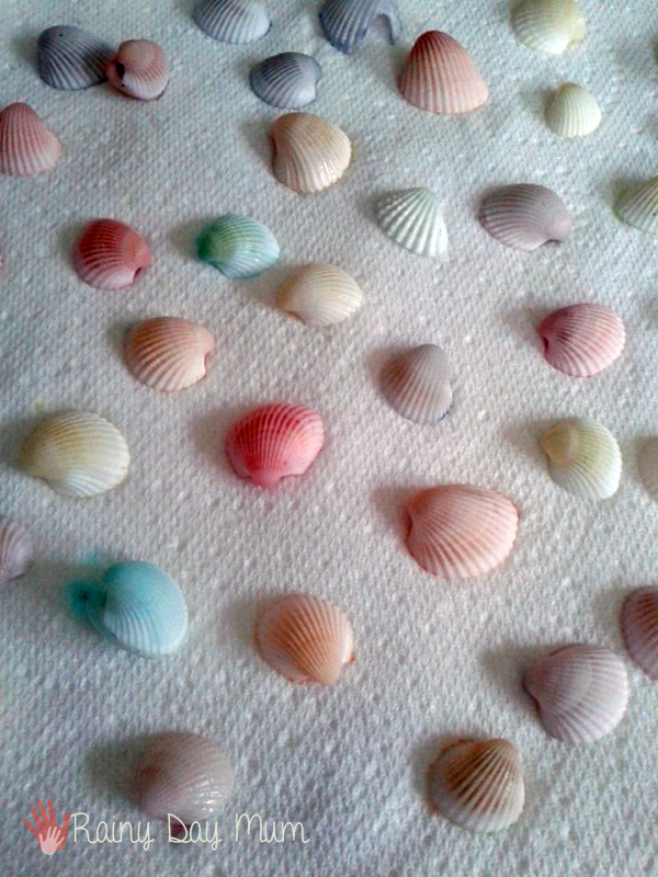 Dyed Pastel Seashells