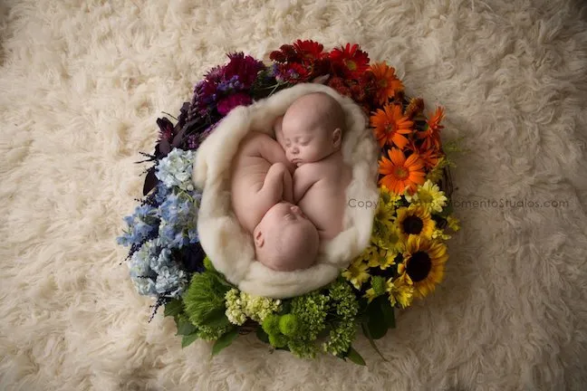 Floral Nest for Twins