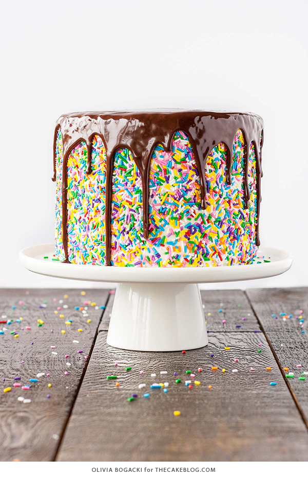 100 Best Birthday Cake Recipes Made For Celebrations