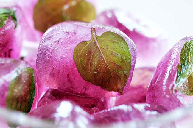 Raspberry Mint Tea Ice Cubes