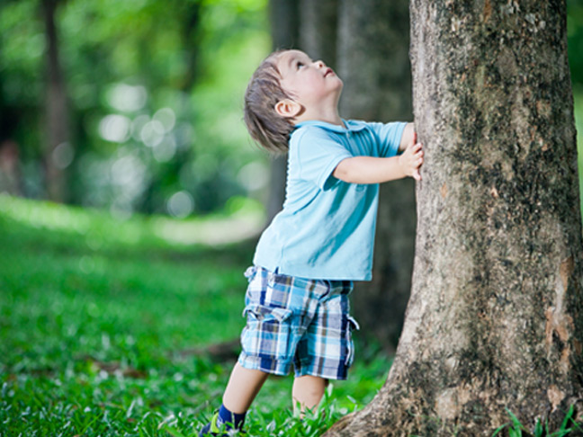 Climb a tree