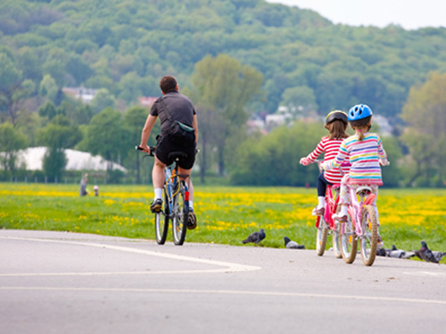 Go on a family bike ride