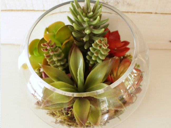 Succulent Planter