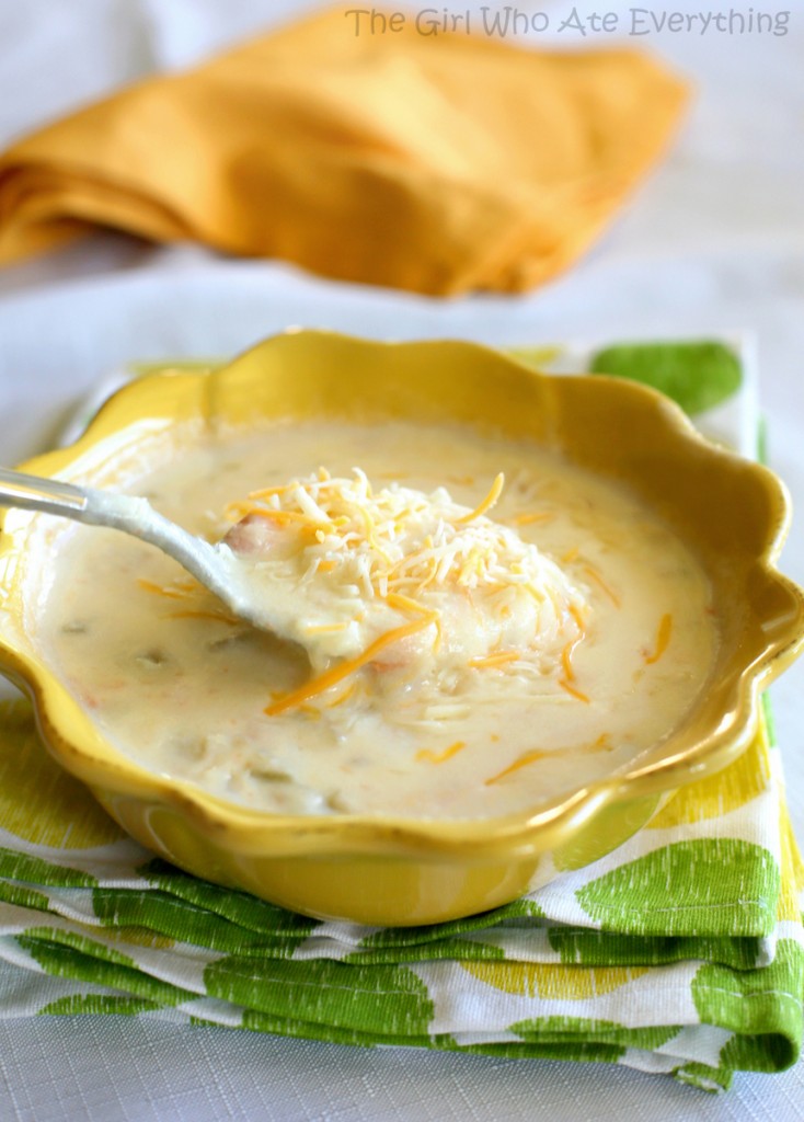 Monterey Jack Cheese Soup