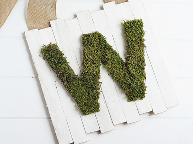 Moss Letter