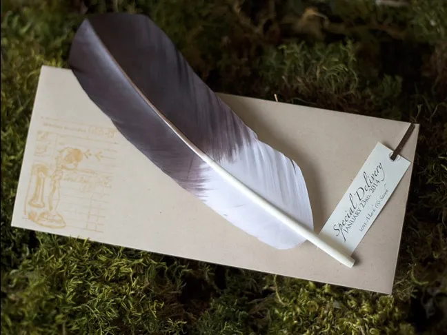 Stork Feather Note