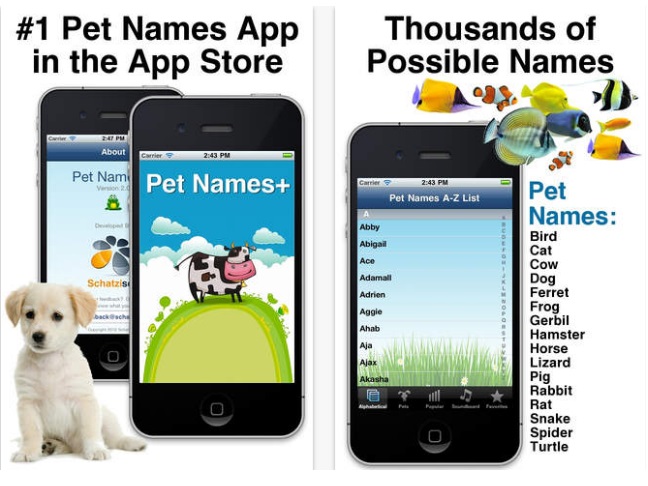 Pet Names + (Free)