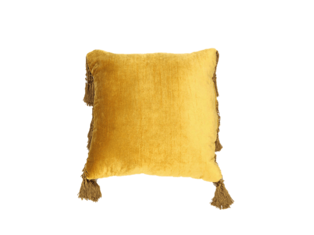 #3: Fringed Throw Pillow