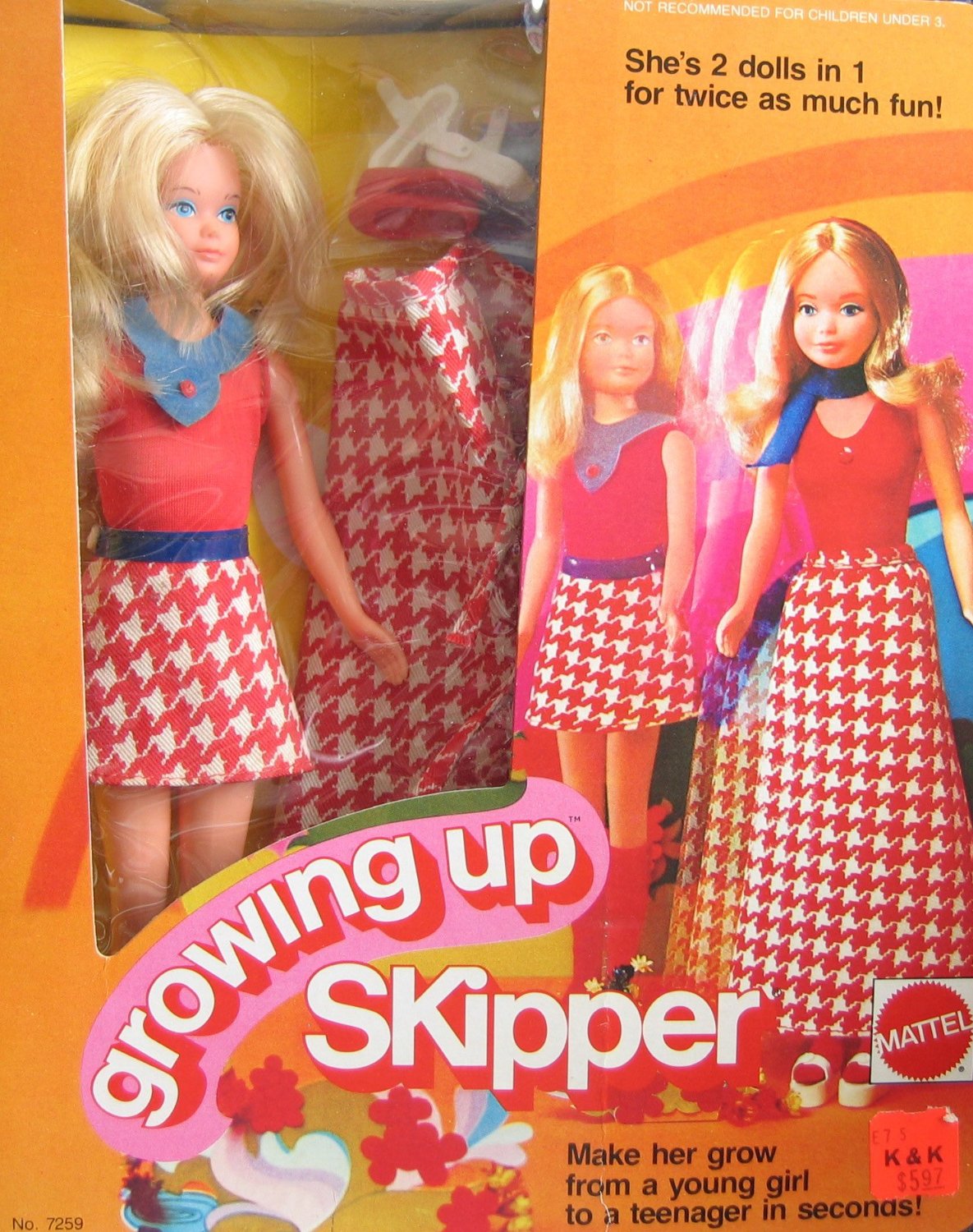 Barbie Growing Up Skipper Doll