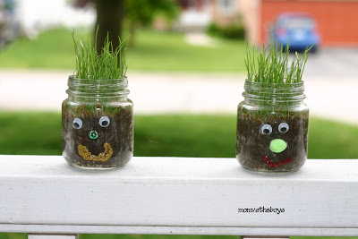 Make Funny Hair Jars