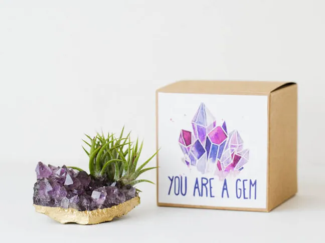 Air Plant Gem Favors