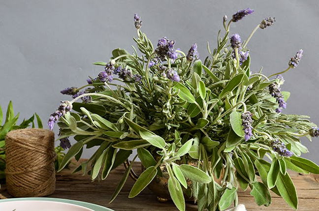 Herb Centerpieces