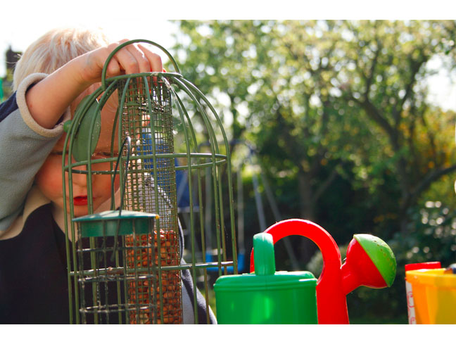 DIY Bird Feeder