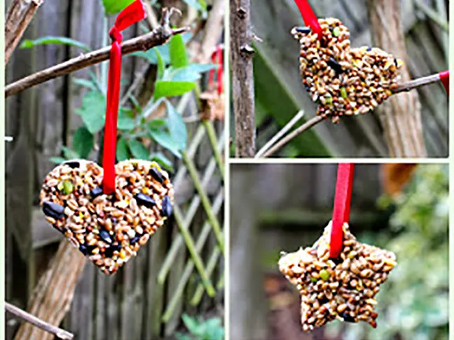 Biscuit Cutter Bird Feeders