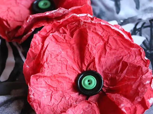 Painted Poppy Coffee Filters