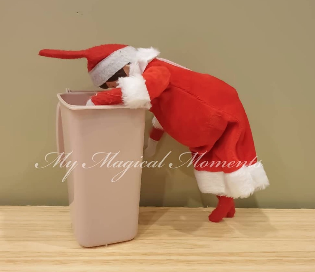 Morning Sickness Elf