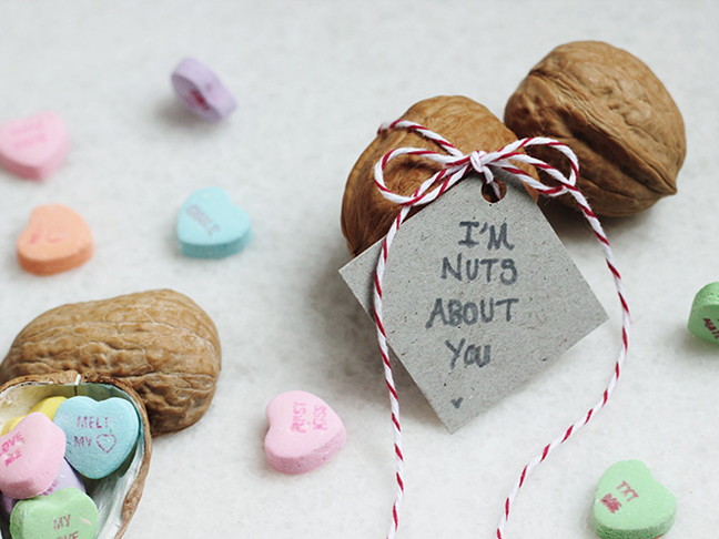 Nuts About You