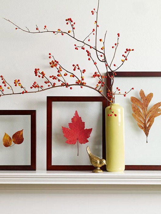 Framed Leaf Pressings