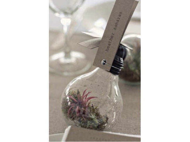 DIY Terrarium Place Cards