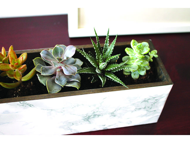 Marble Succulent Planter