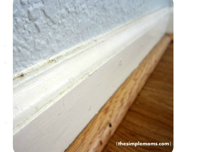 Clean Your Baseboard