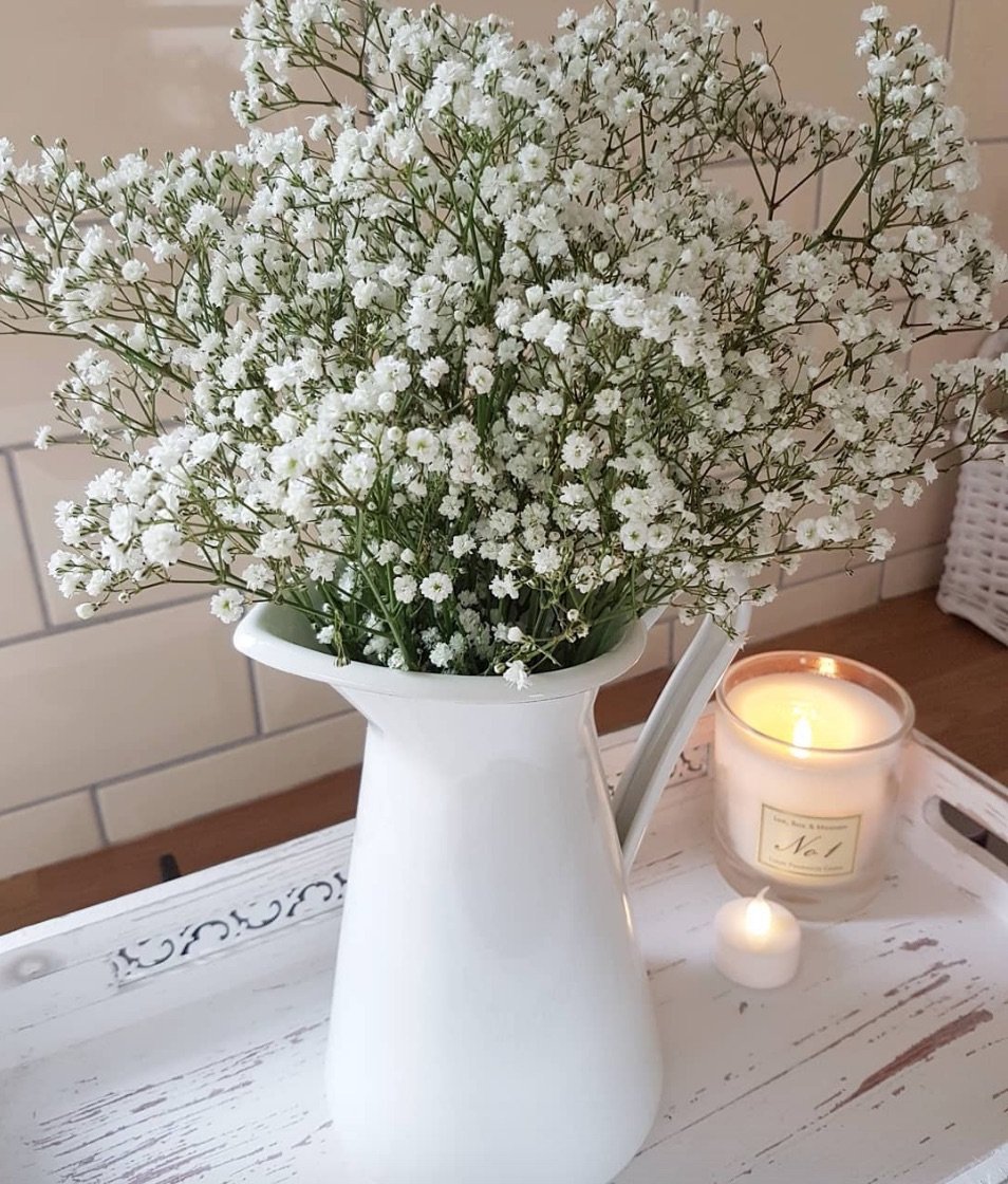 Baby's Breath in a White Pitcher