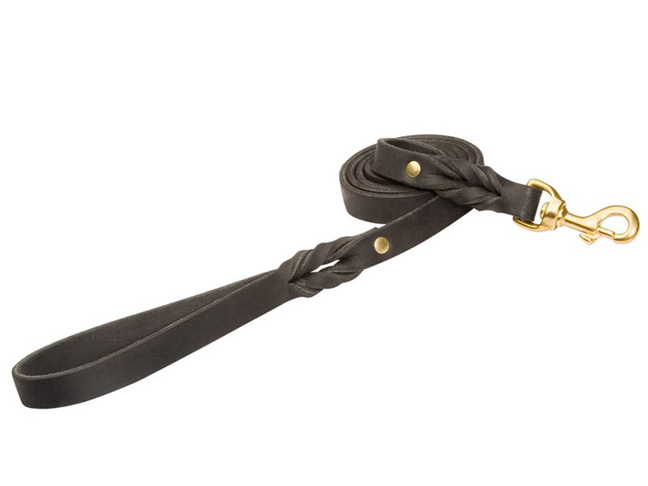 Durable "Training Quality" Leather Leash