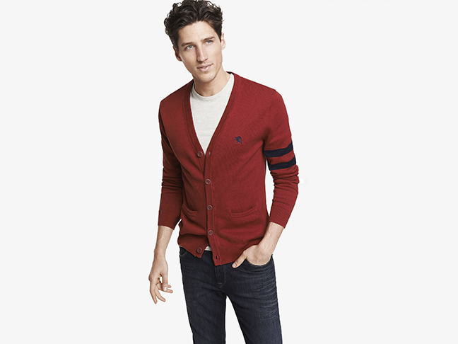 Varsity Stripe Small Lion Cardigan from Express