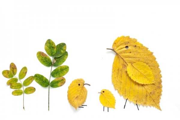 Leaf Animals