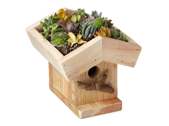 Living Birdhouse Kit from Uncommon Goods