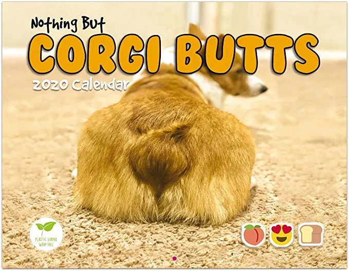 Corgi Butts 2020 Funny Dog Calendar