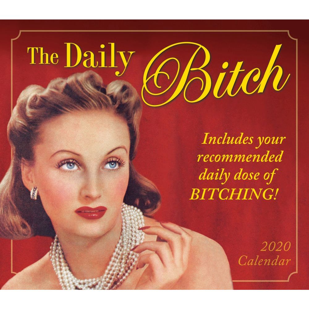 2020 The Daily Bitch Boxed Daily Calendar 