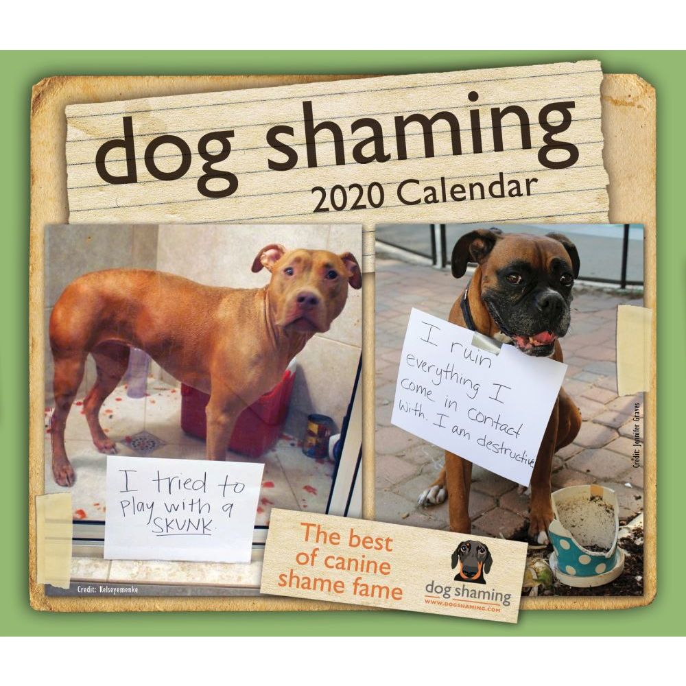 Dog Shaming 2020 Wall Calendar