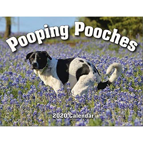 2020 Pooping Pooches Dog Calendar