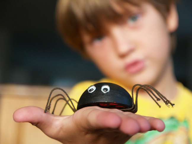 Black Widow Pet