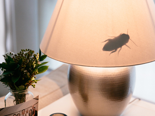 Creepy Insect Lamps