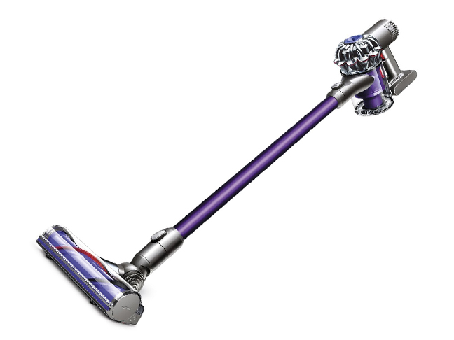 Dyson Animal