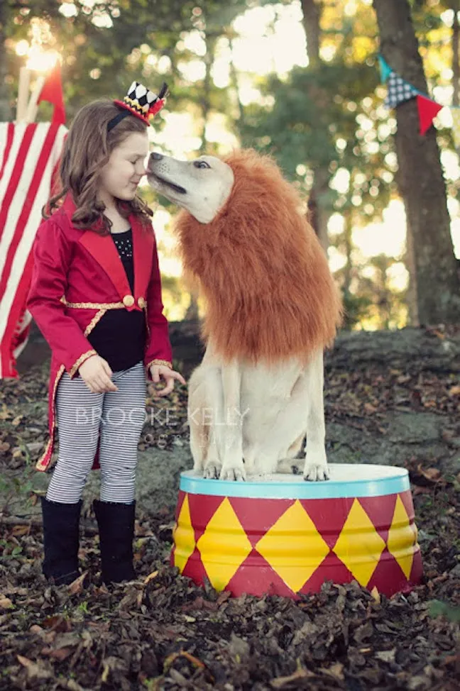 Circus Ringleader and Lion