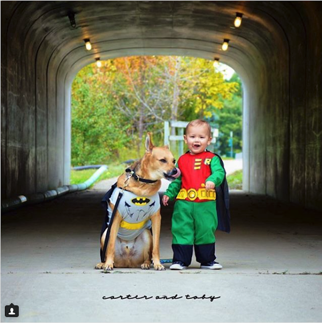 43 Best Dog Halloween Costumes 2023 - Funny Dog Costume Ideas