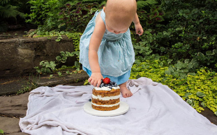 Honey Oat Cake