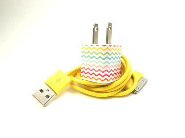 Decorated iPhone Charger