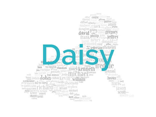 Daisy