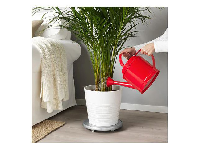 Bright Red Watering Can