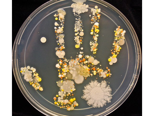 The Bacteria Handprint