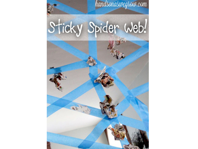 Sticky Spider Web