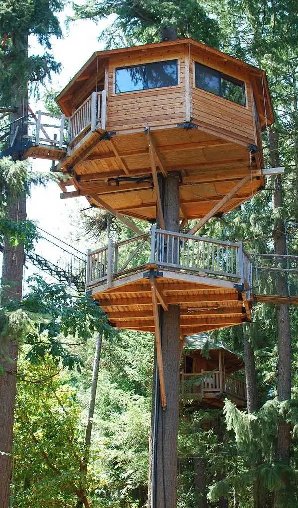 Treehouse Resort, Cave Junction, Oregon