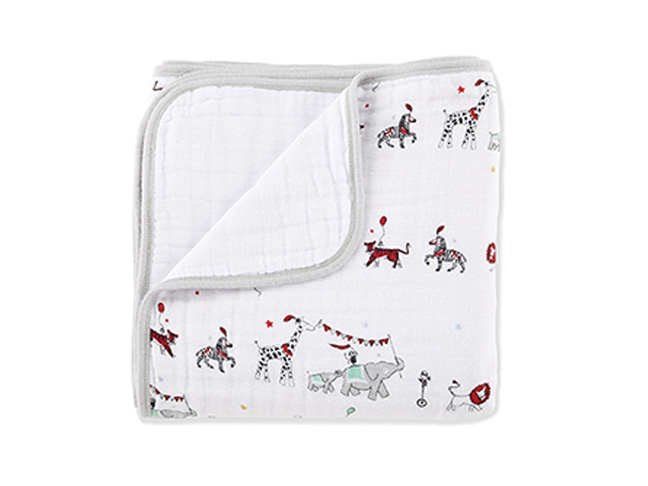 Aden & Anais Classic Dream Blanket