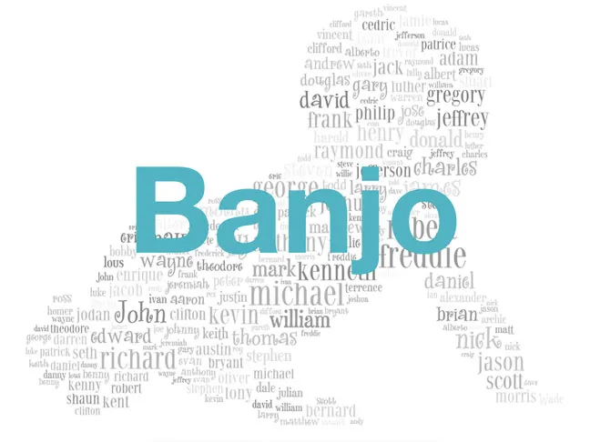 Banjo